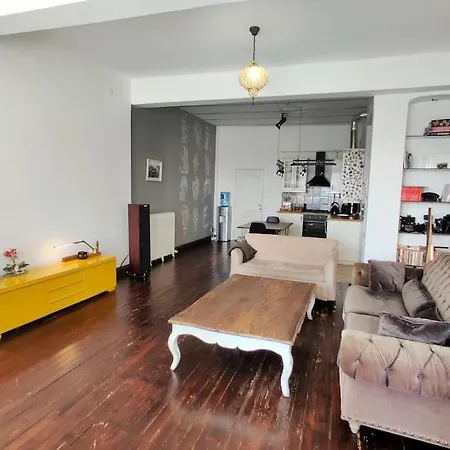 Golden Horn And Galata Tower View, Historical Flat 公寓 伊斯坦布尔