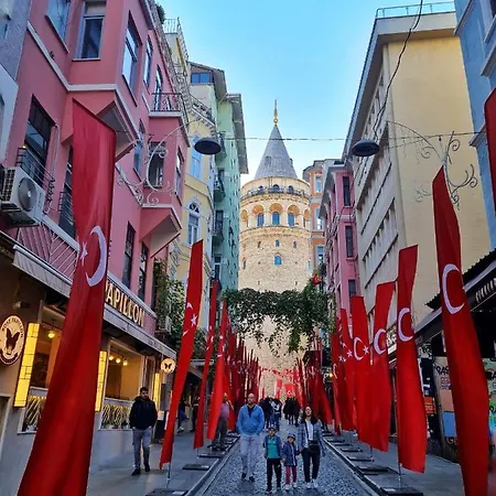 Golden Horn And Galata Tower View, Historical Flat 公寓 *